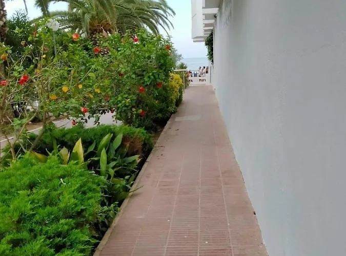 Margaritas * Alcossebre