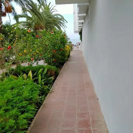 Margaritas * Alcossebre